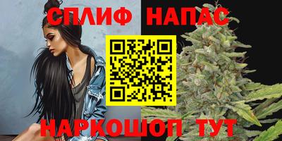 мдпв Новокубанск